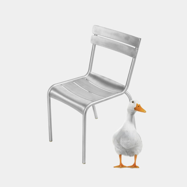 chaise Luxembourg gris métal avec un canrd blanc