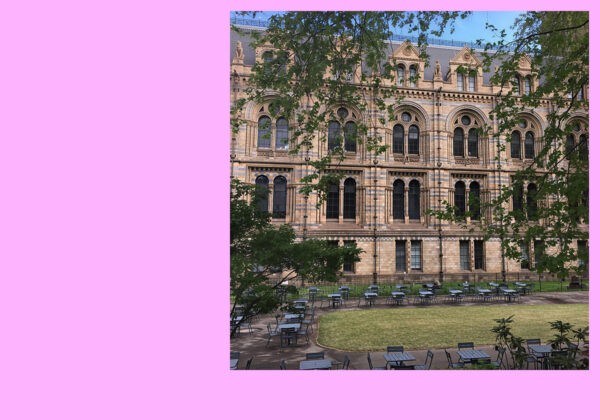 The National History Museum, London