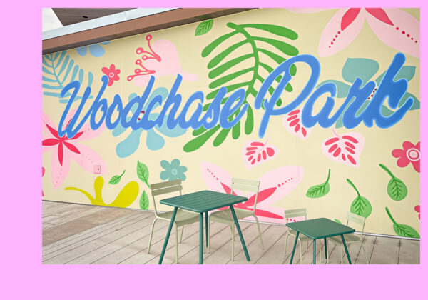 Woodchase Park, Huston