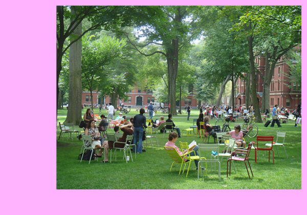 Harvard University Yard des chaises Luxembourg sur une pelouse