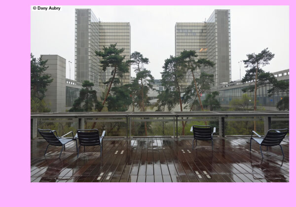 Bibliothèque François-Mitterrand_Paris