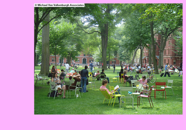 Harvard University_Cambridge