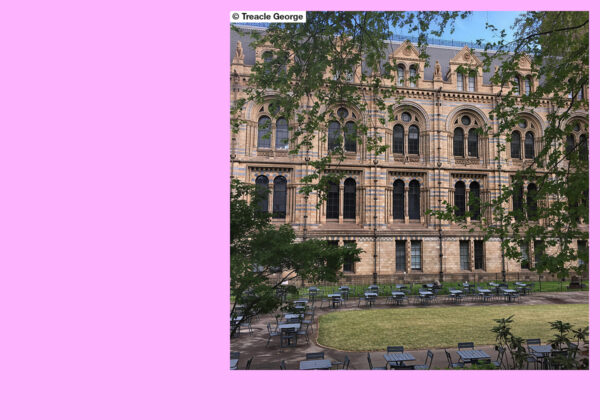 The National History Museum_London