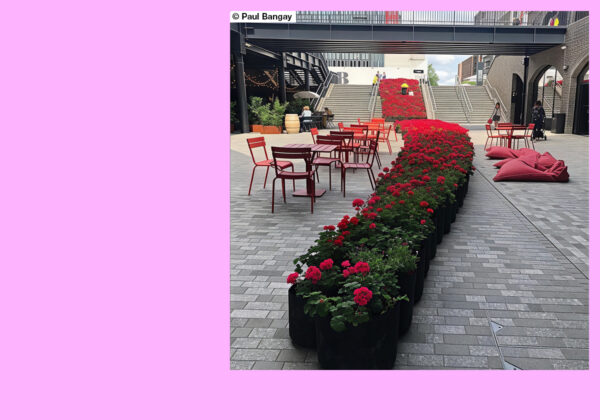 The Royal Horticultural Society Chelsea Flower Show_London