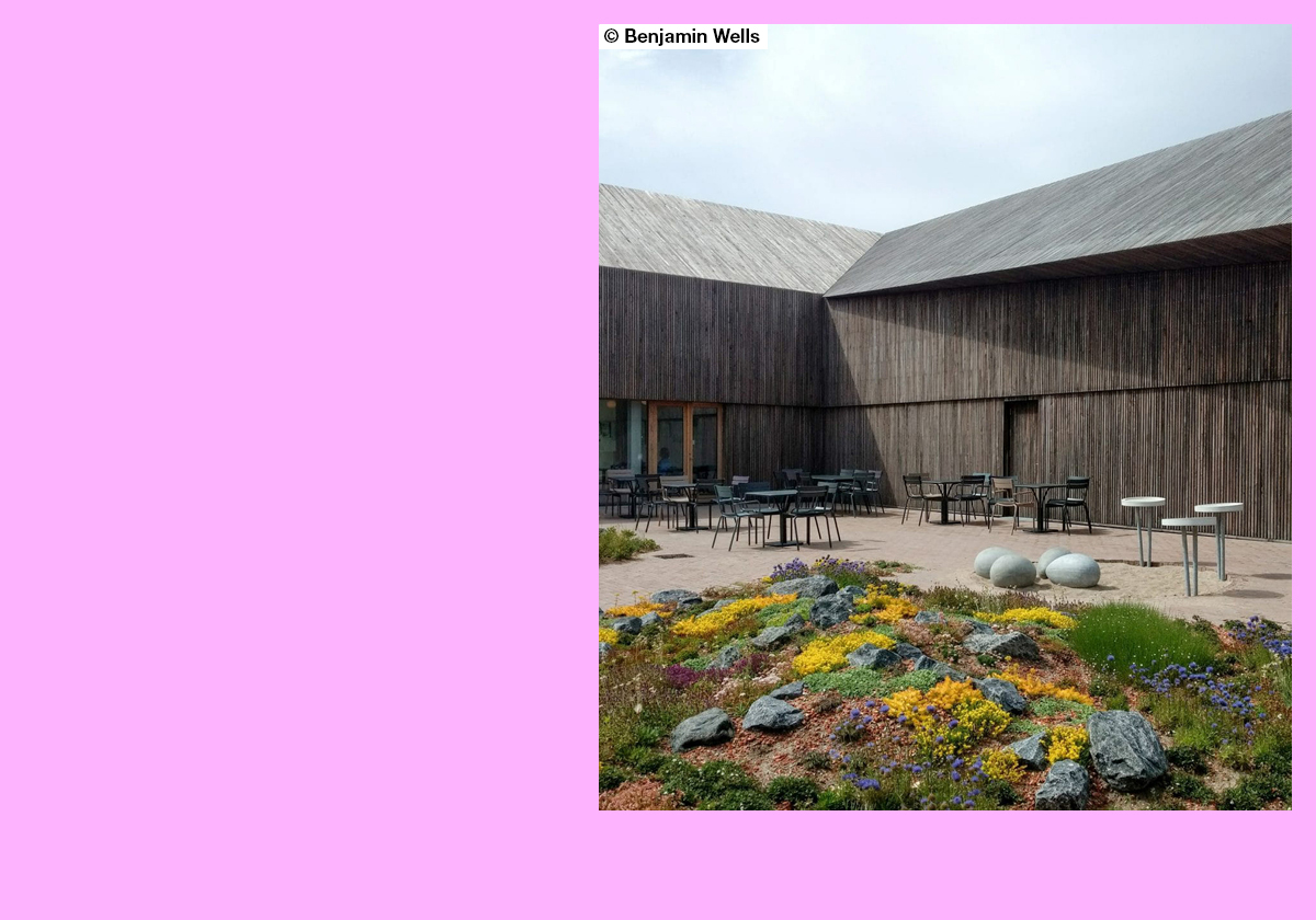 Waden Sea Center
