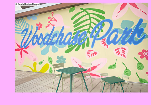 Woodchase Park_Huston